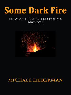 cover image of Some Dark Fire